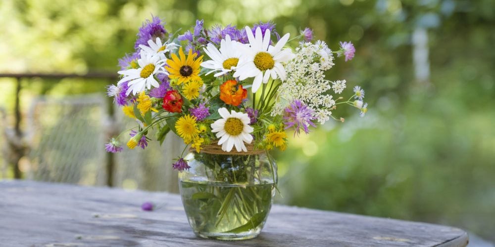 Flowers.